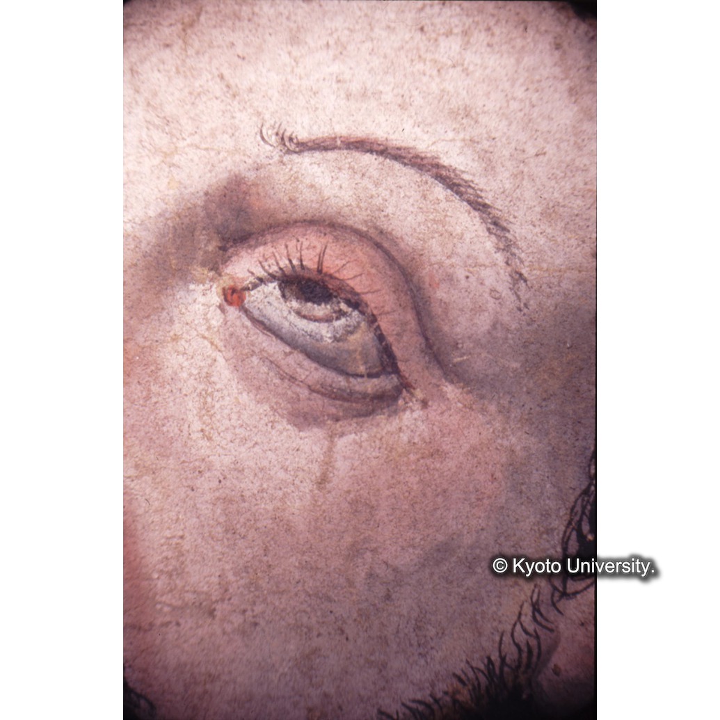 顕微鏡撮影カラー写真（中央下段：ザビエル目） (1)