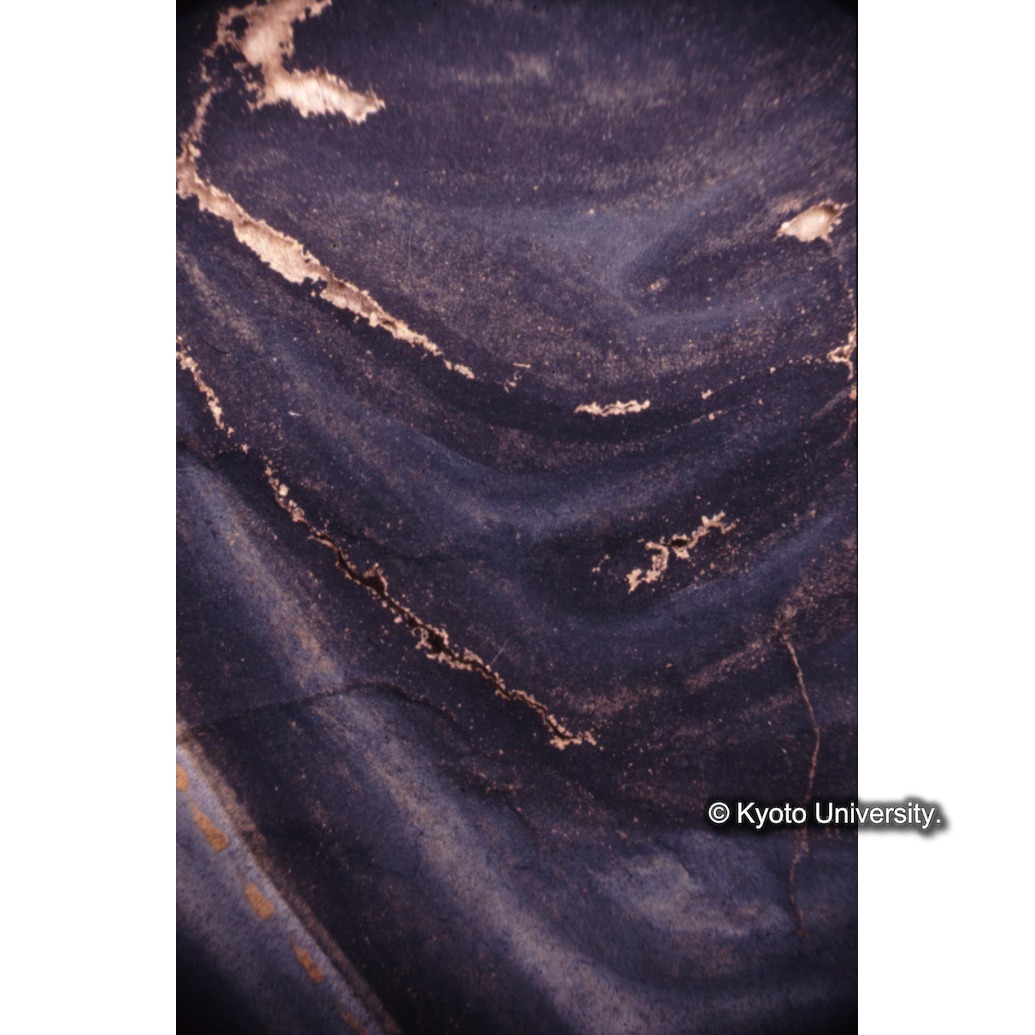 顕微鏡撮影カラー写真（中央上段：マリア衣服） (1)