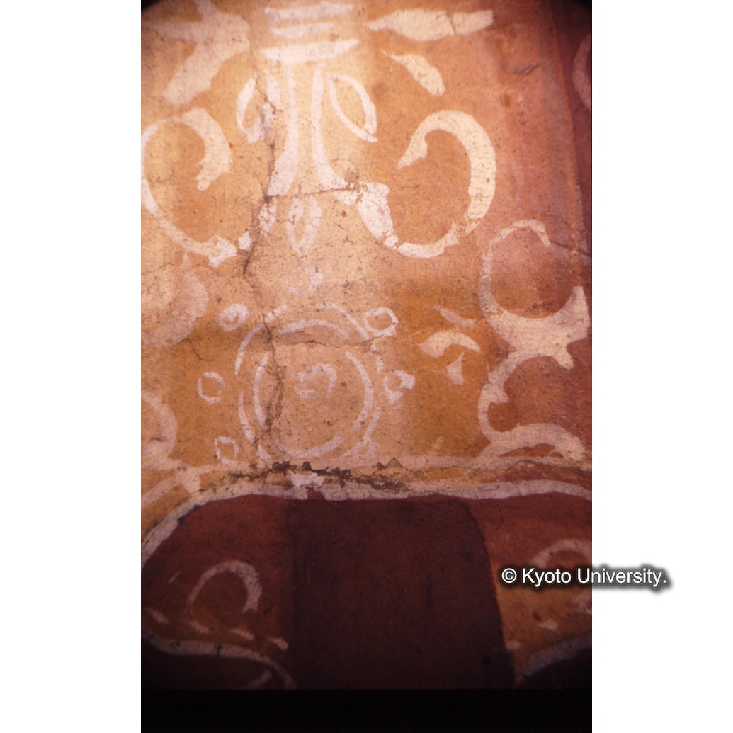 顕微鏡撮影カラー写真（中央上段：カーテン） (1)