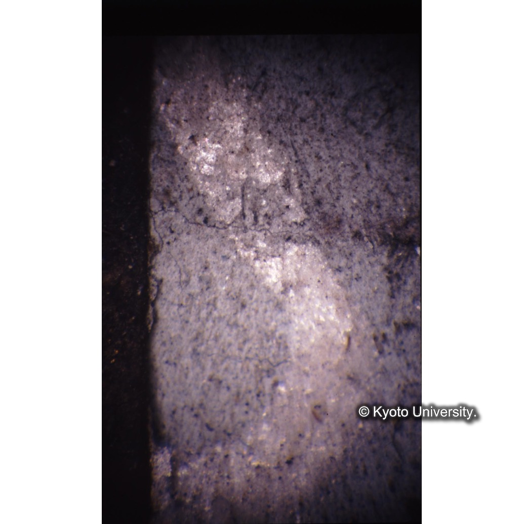 顕微鏡撮影カラー写真（十五玄義第十三図：表具） (1)
