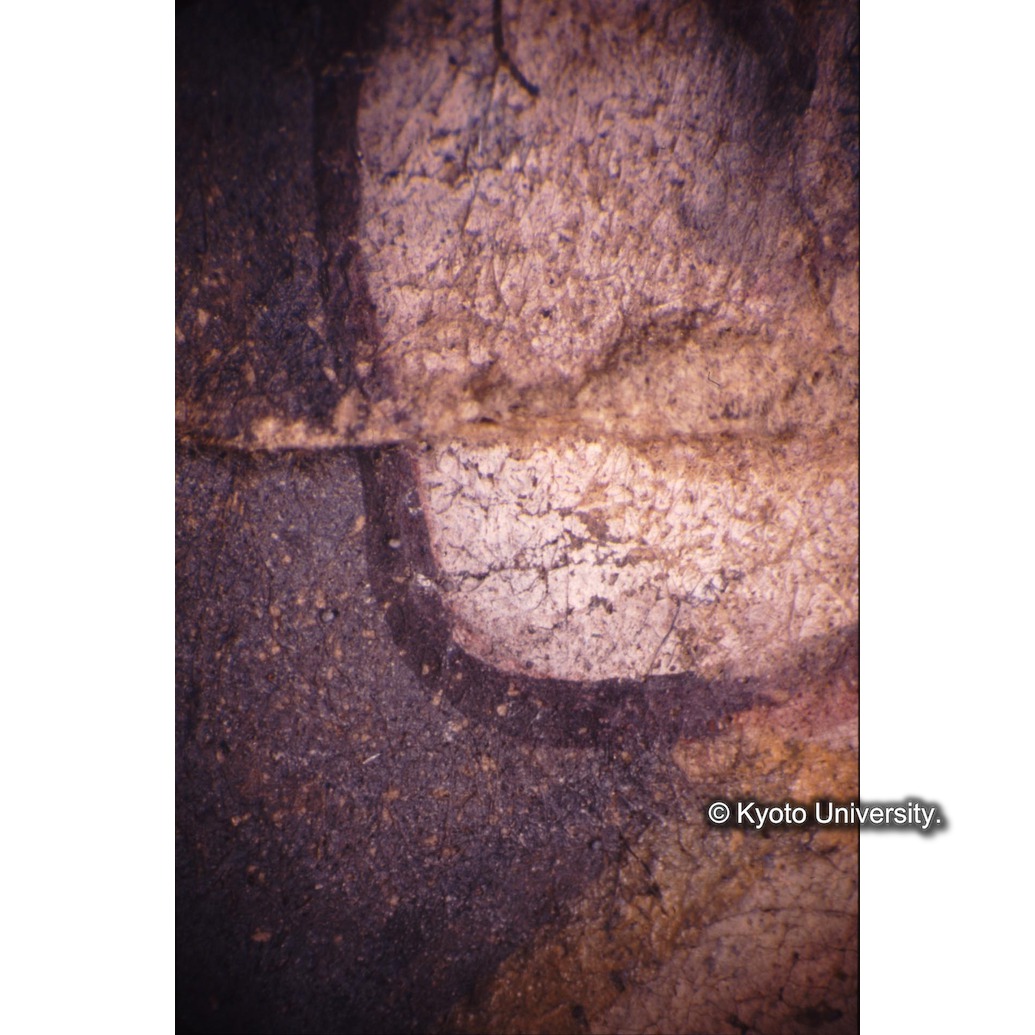 顕微鏡撮影カラー写真（十五玄義第七図：右側人物頬） (1)