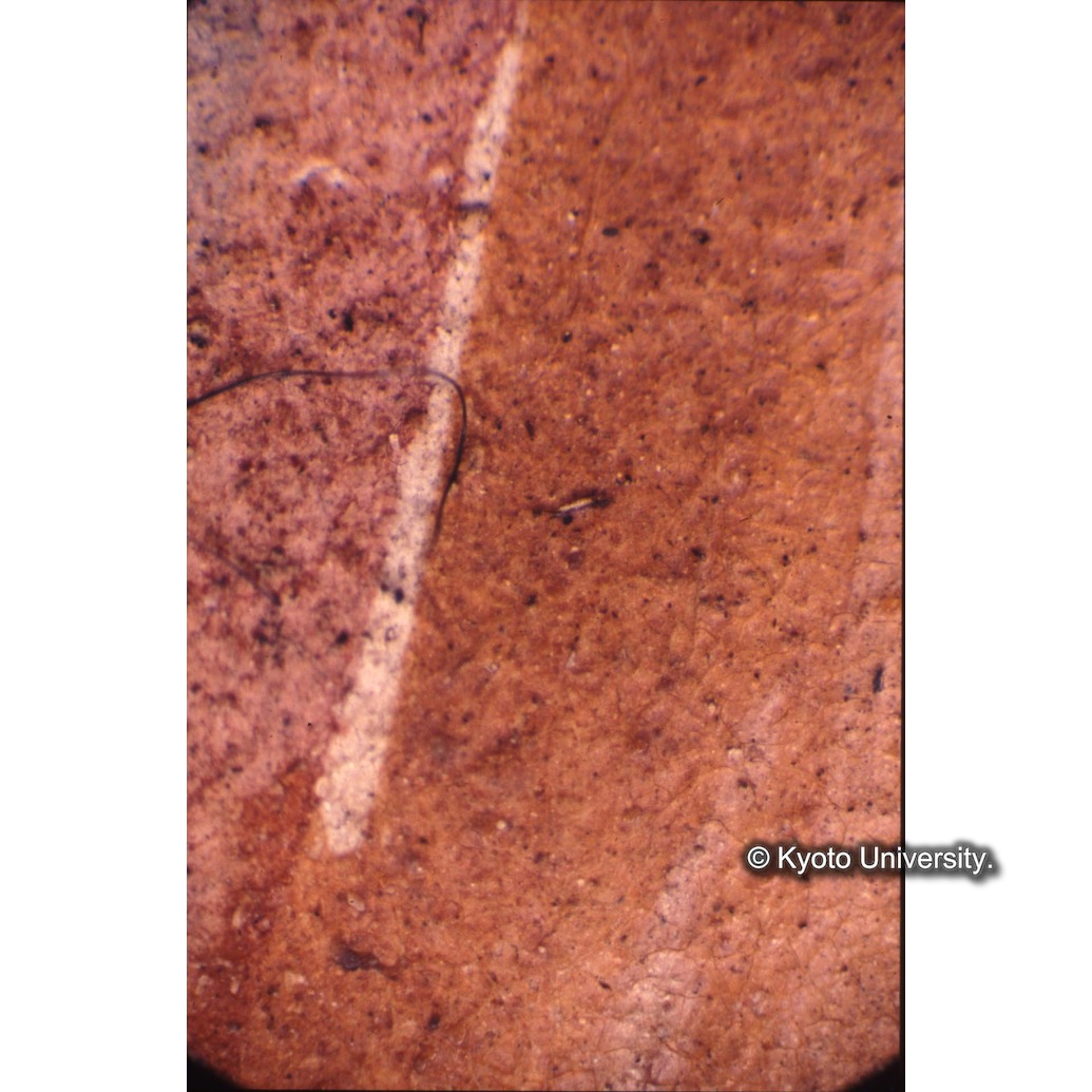 顕微鏡撮影カラー写真（十五玄義第二図：中央左側人物衣服） (1)