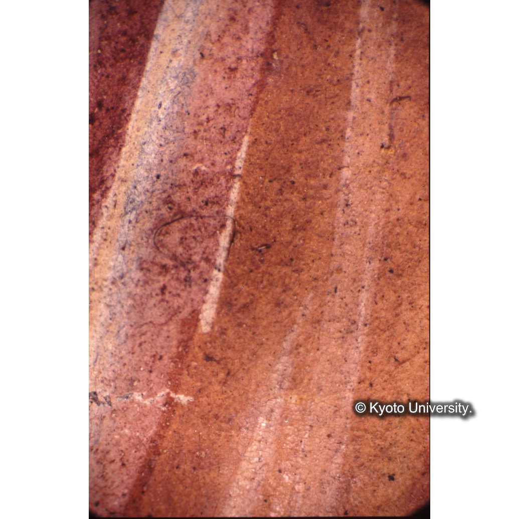 顕微鏡撮影カラー写真（十五玄義第二図：中央左側人物衣服） (1)