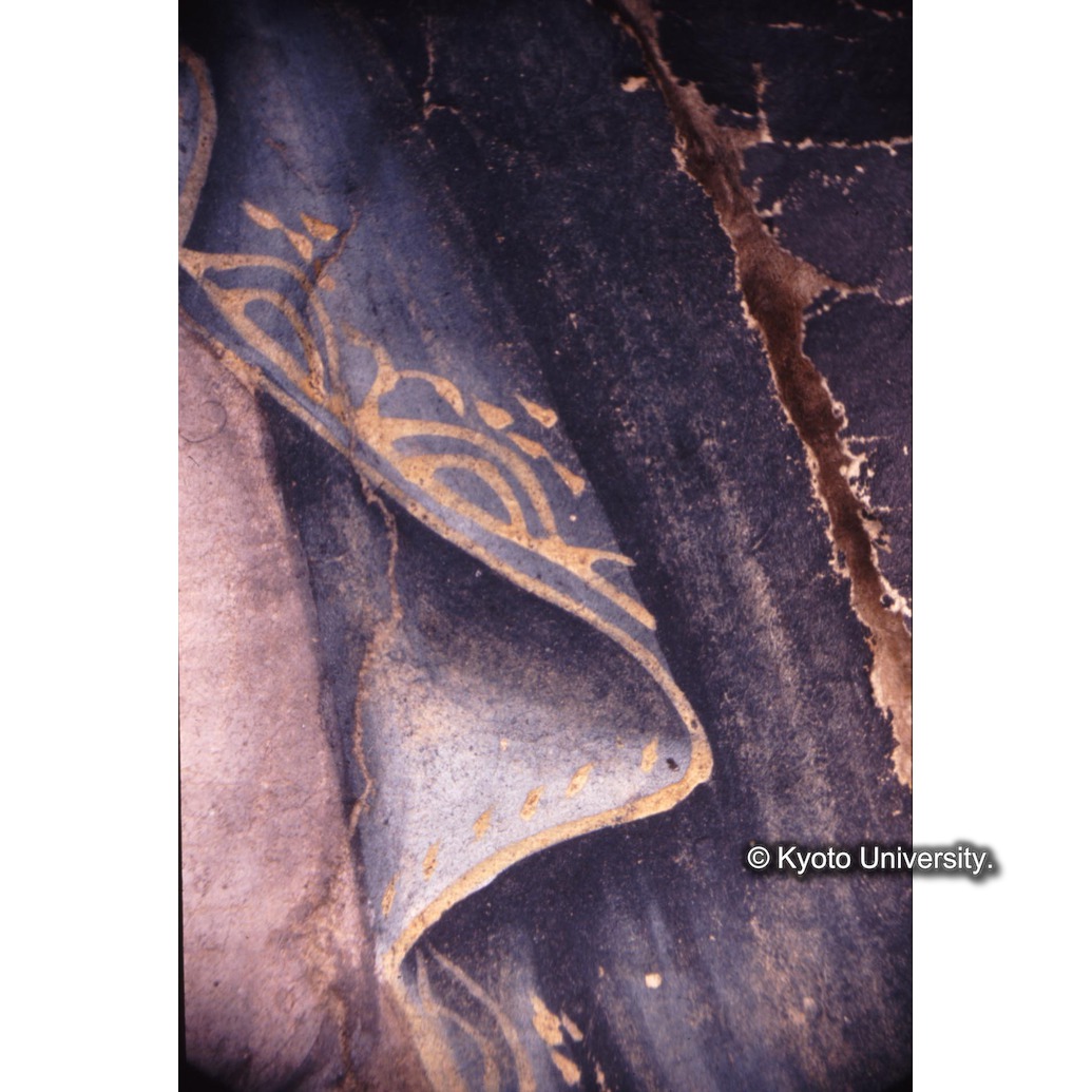 顕微鏡撮影カラー写真（中央上段：マリア衣服） (1)