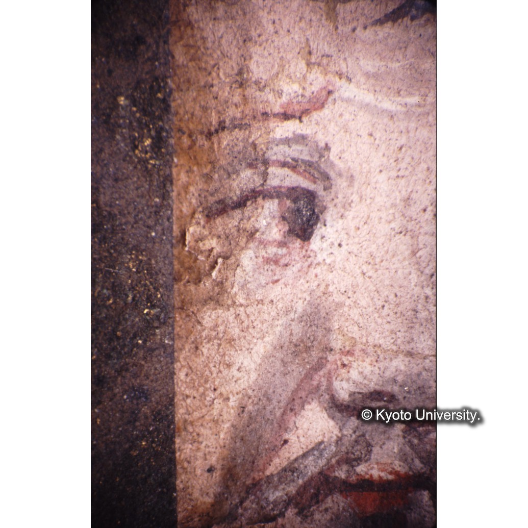 顕微鏡撮影カラー写真（十五玄義第二図：左側人物） (1)