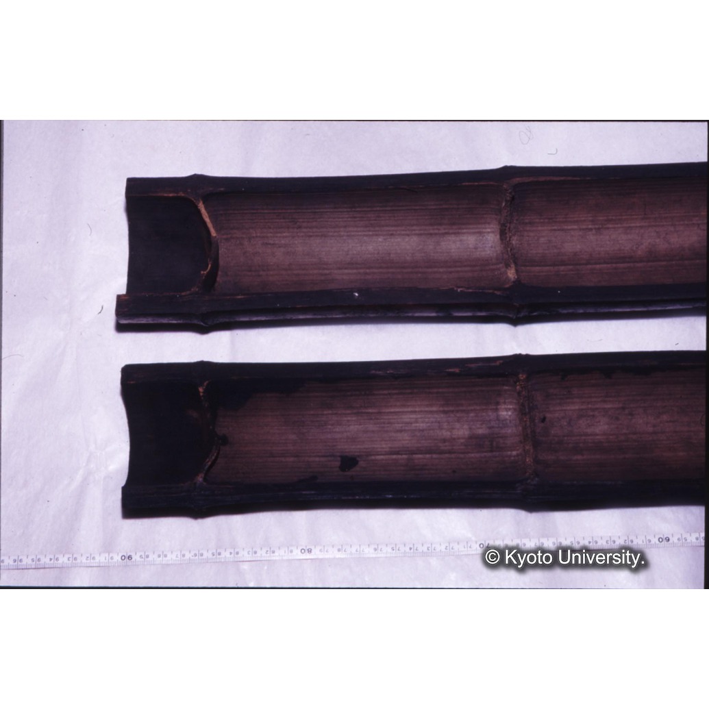 カラー写真（竹筒内側） (1)