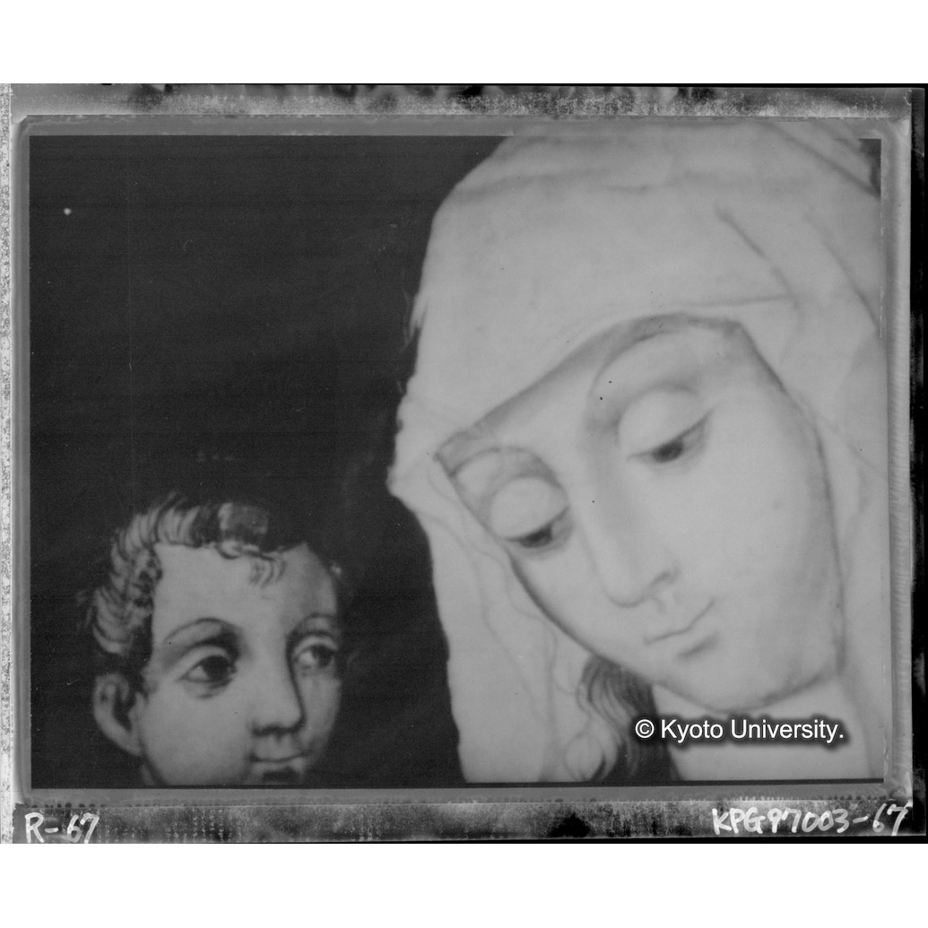 赤外線テレビ撮影画像写真（中央上段） (1)