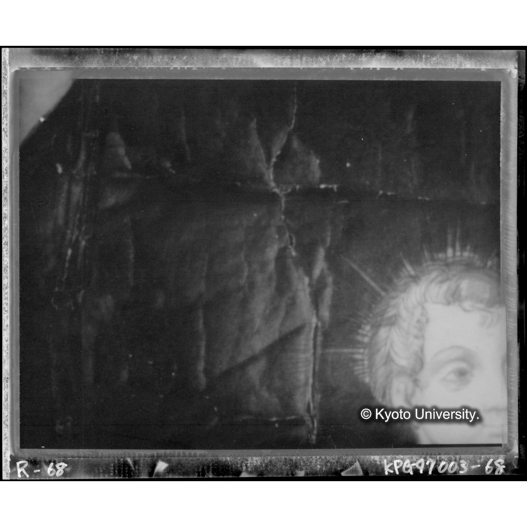 赤外線テレビ撮影画像写真（中央上段） (1)