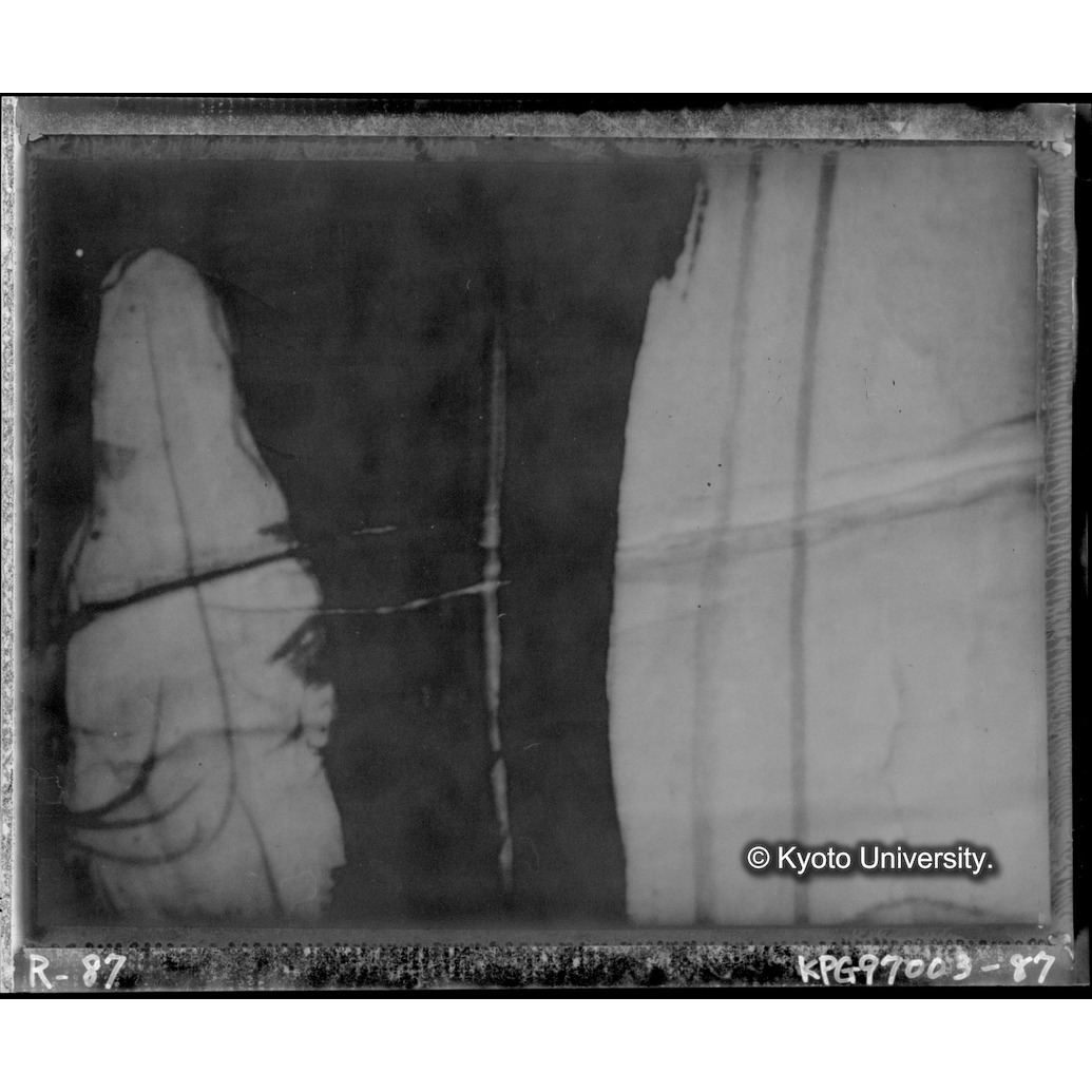 赤外線テレビ撮影画像写真（中央上段） (1)