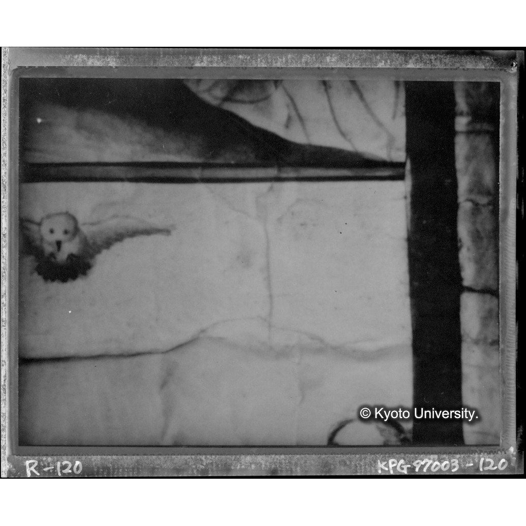 赤外線テレビ撮影画像写真（十五玄義第十三図） (1)