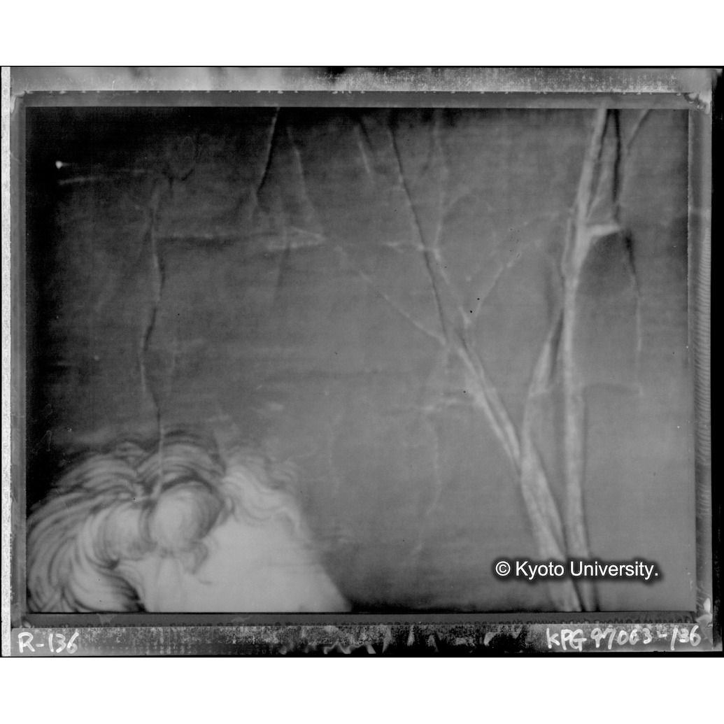 赤外線テレビ撮影画像写真（中央下段） (1)