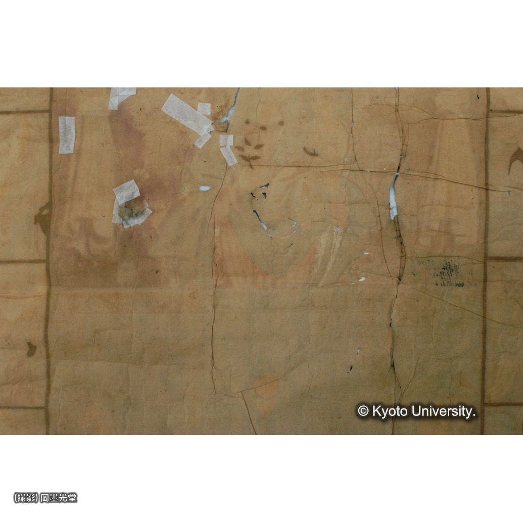 裏面継紙除去後（部分） (1)