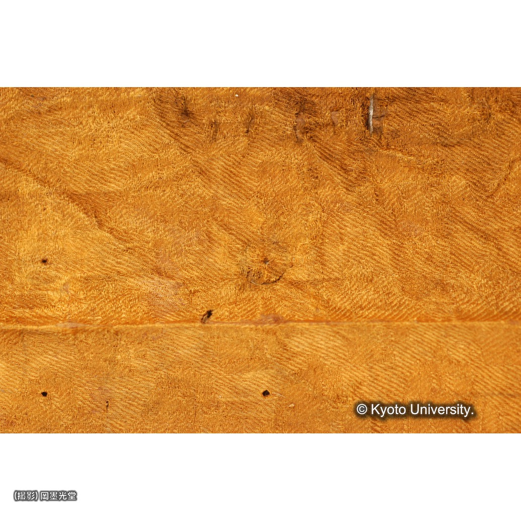 鋲無し（上裂） (1)