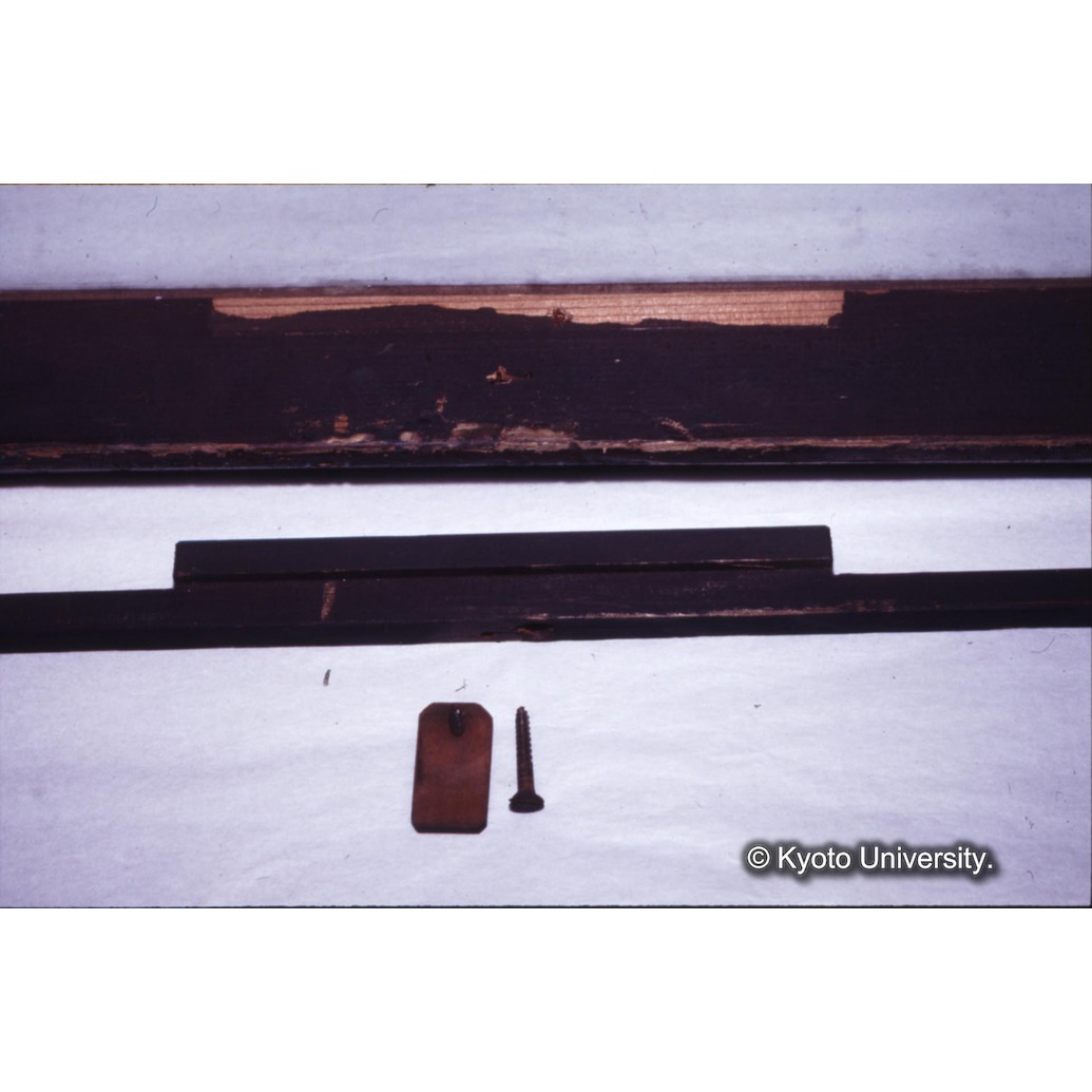 カラー写真（額縁） (1)