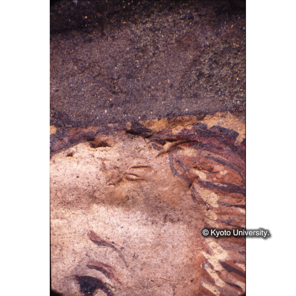 顕微鏡撮影カラー写真（十五玄義第五図：絵具浮き上がり） (1)