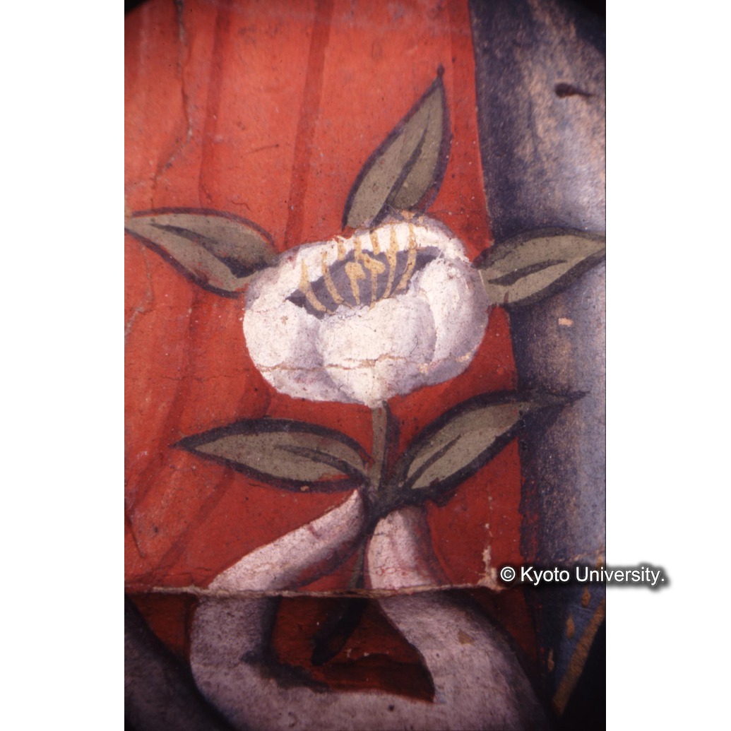 顕微鏡撮影カラー写真（中央上段：花） (1)