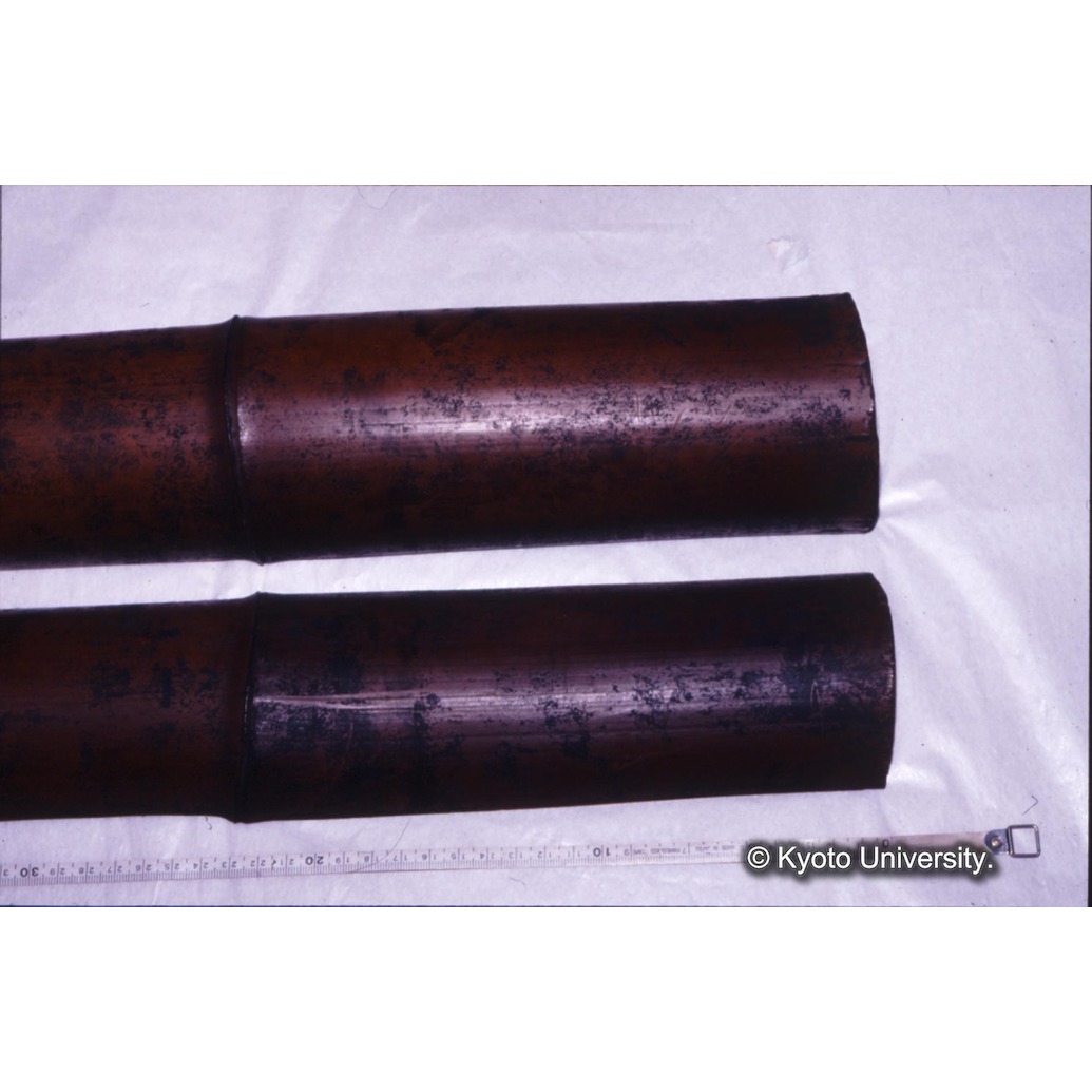 カラー写真（竹筒外側） (1)