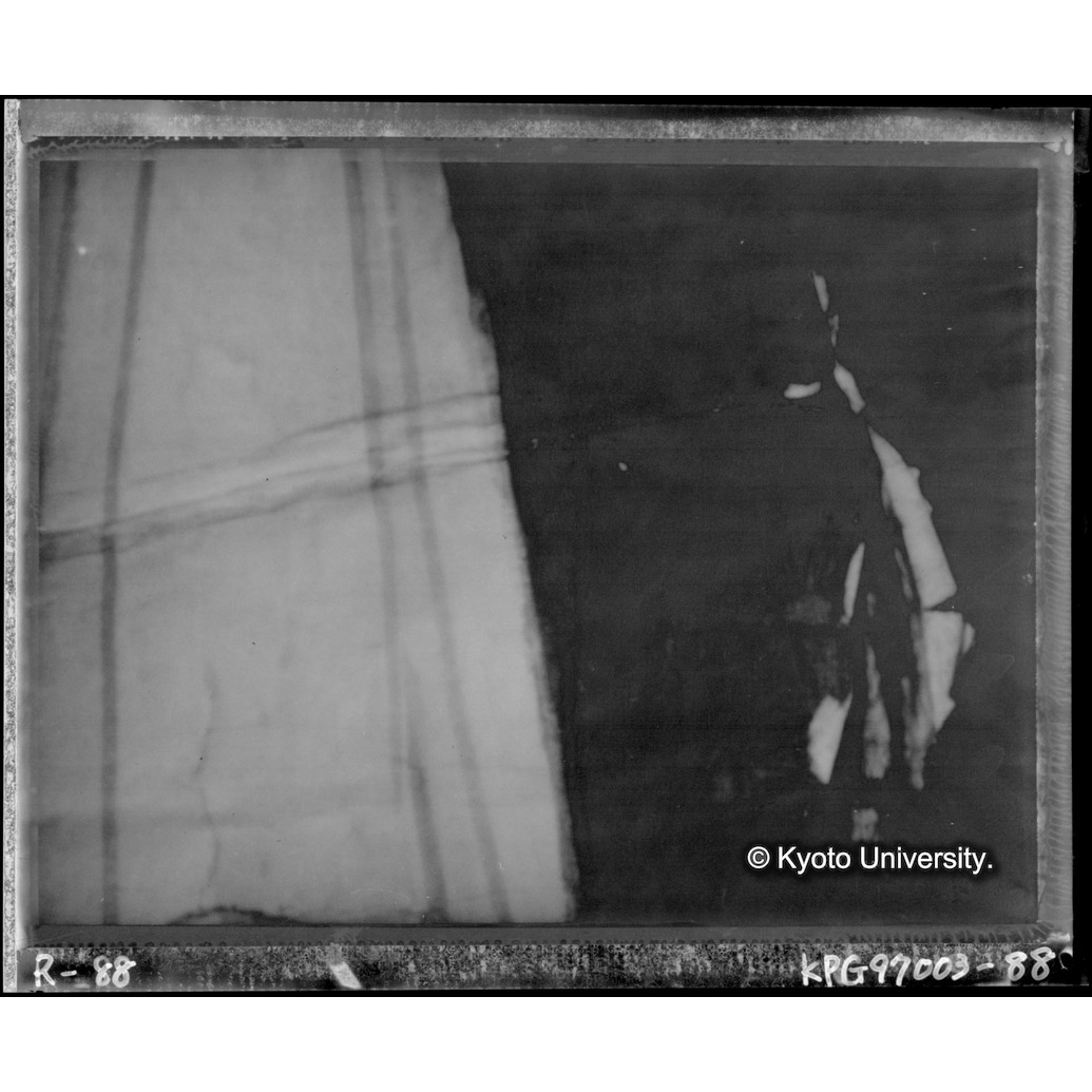 赤外線テレビ撮影画像写真（中央上段） (1)