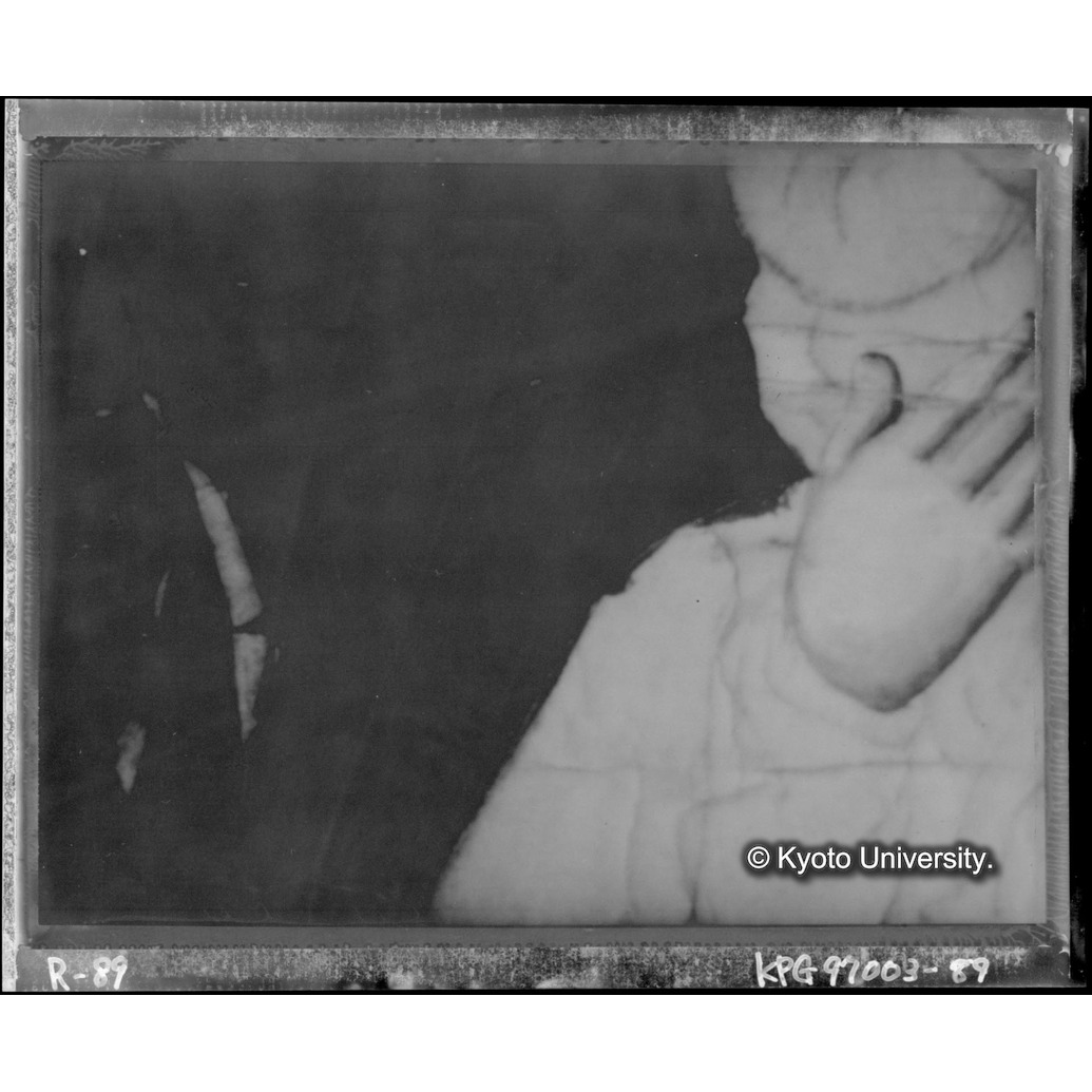 赤外線テレビ撮影画像写真（中央上段） (1)