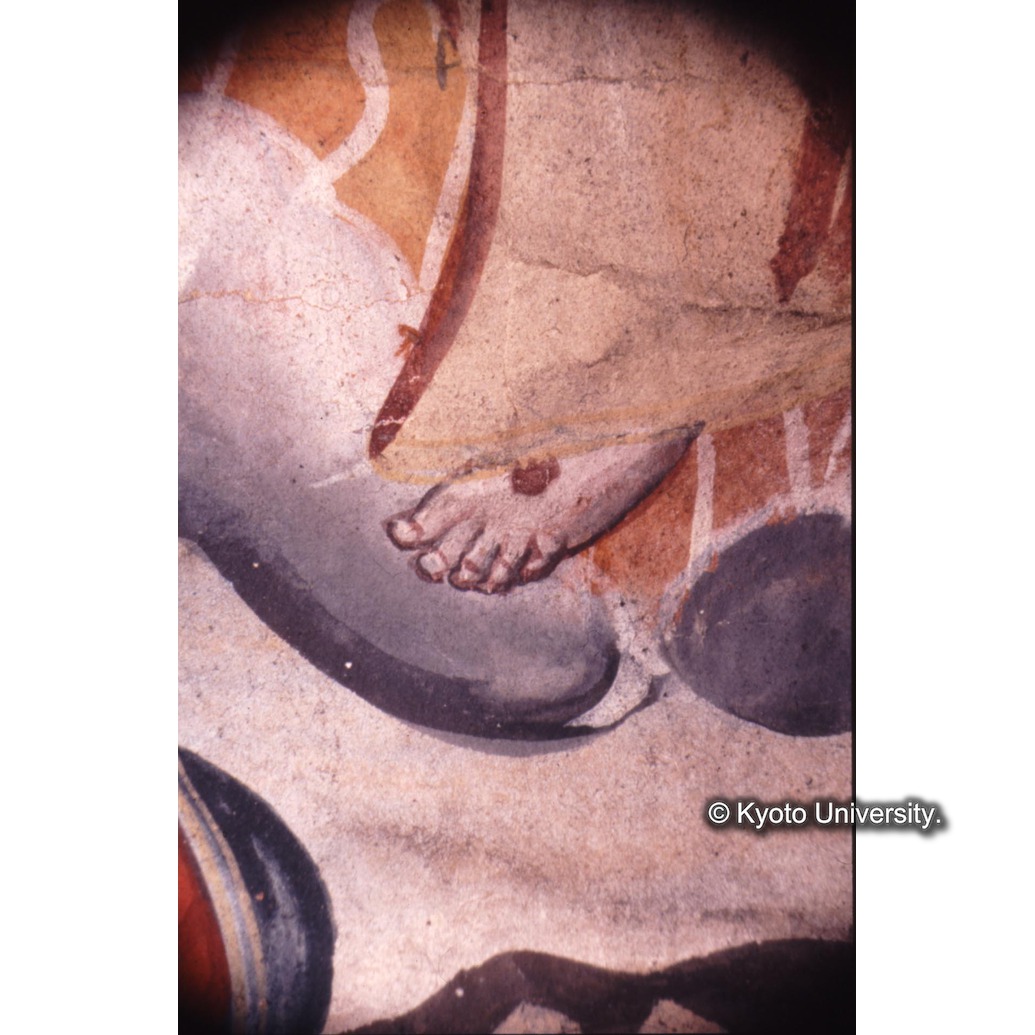 顕微鏡撮影カラー写真（十五玄義第十二図：キリスト足） (1)