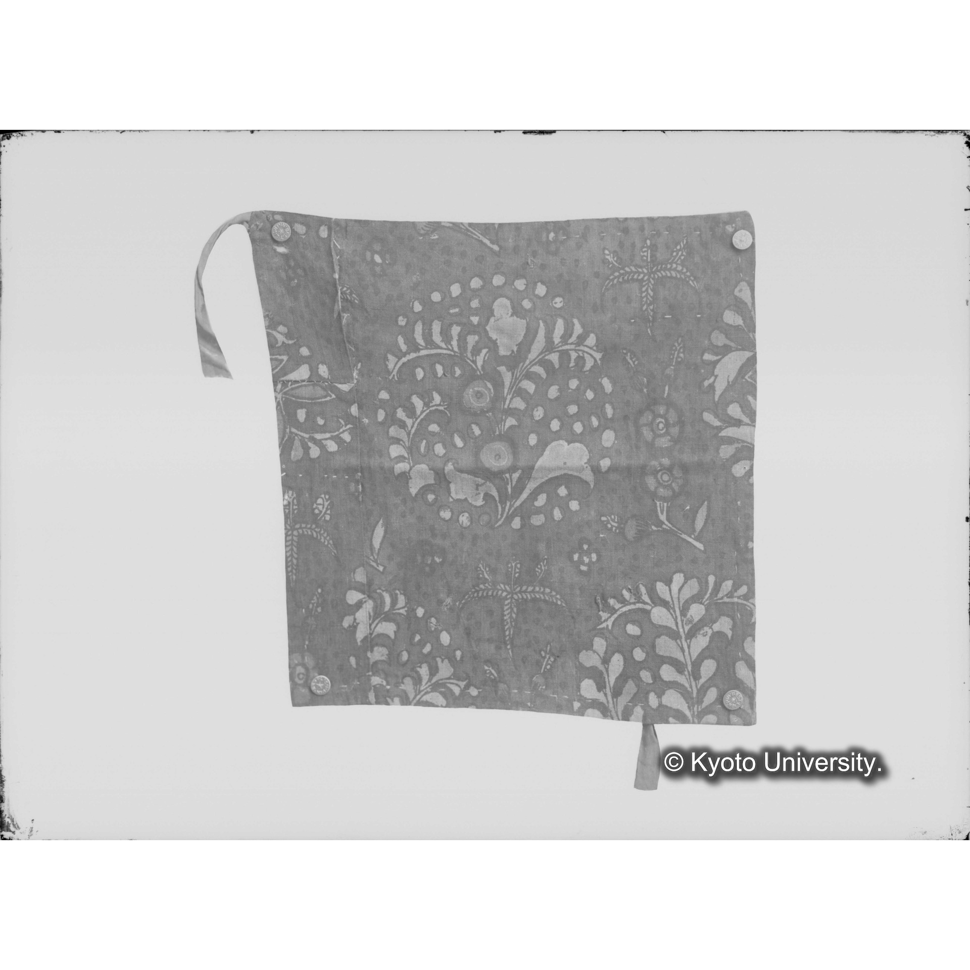 こしょろのジャガタラぶみ（裏） (1)