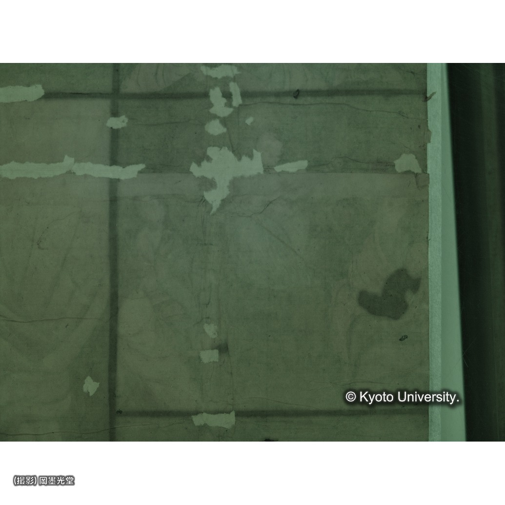 赤外線写真（補紙行程中） (1)