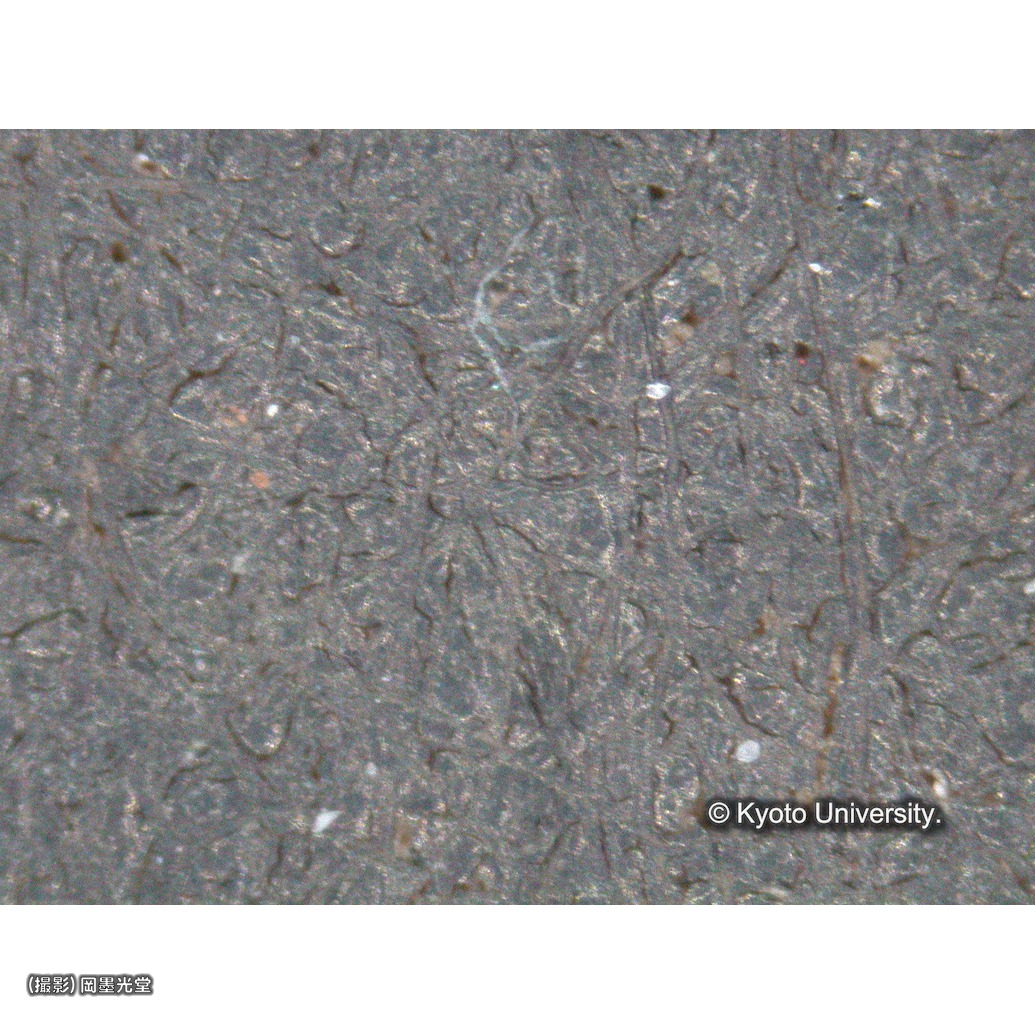 顕微鏡写真（中央上段：背景） (1)