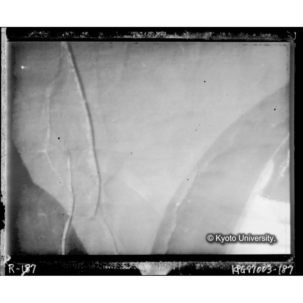 赤外線テレビ撮影画像写真（中央下段） (1)