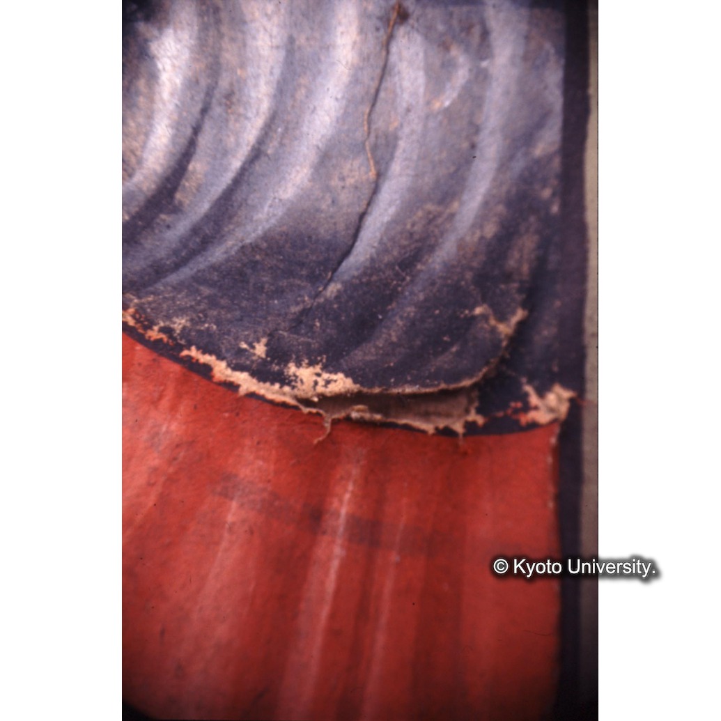 顕微鏡撮影カラー写真（中央下段：ルチヤ衣服） (1)