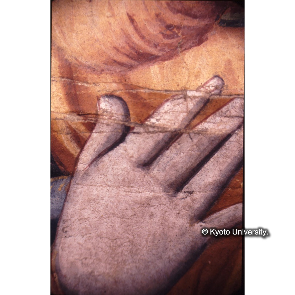 顕微鏡撮影カラー写真（中央上段：マリア手） (1)