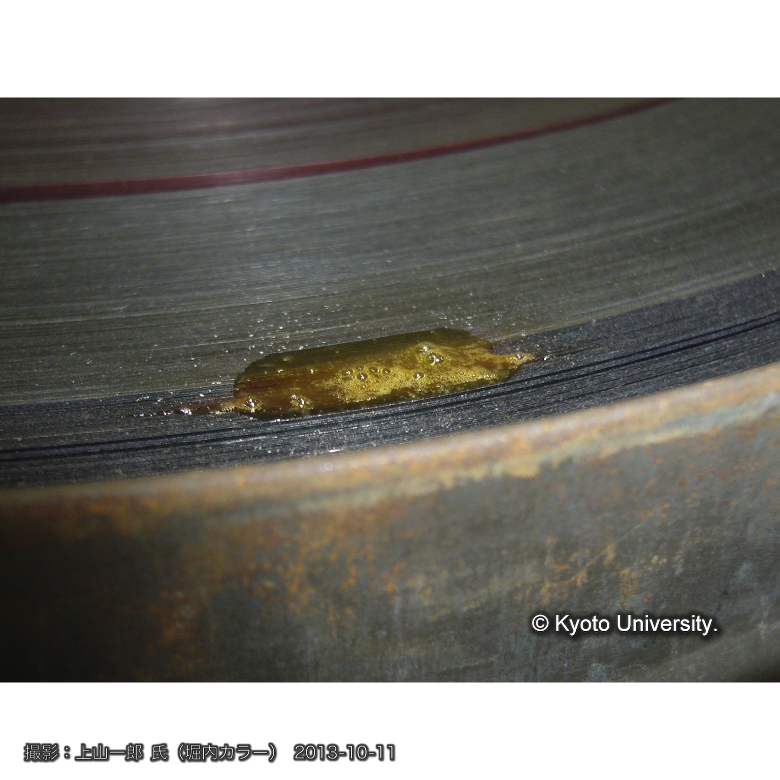 [35mm映画フィルム] (5)