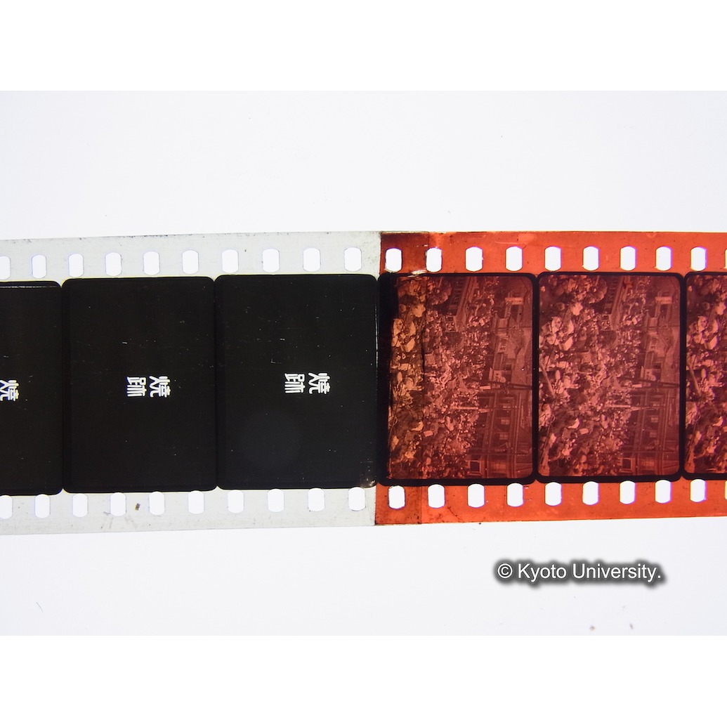 [35mm映画フィルム] (11)
