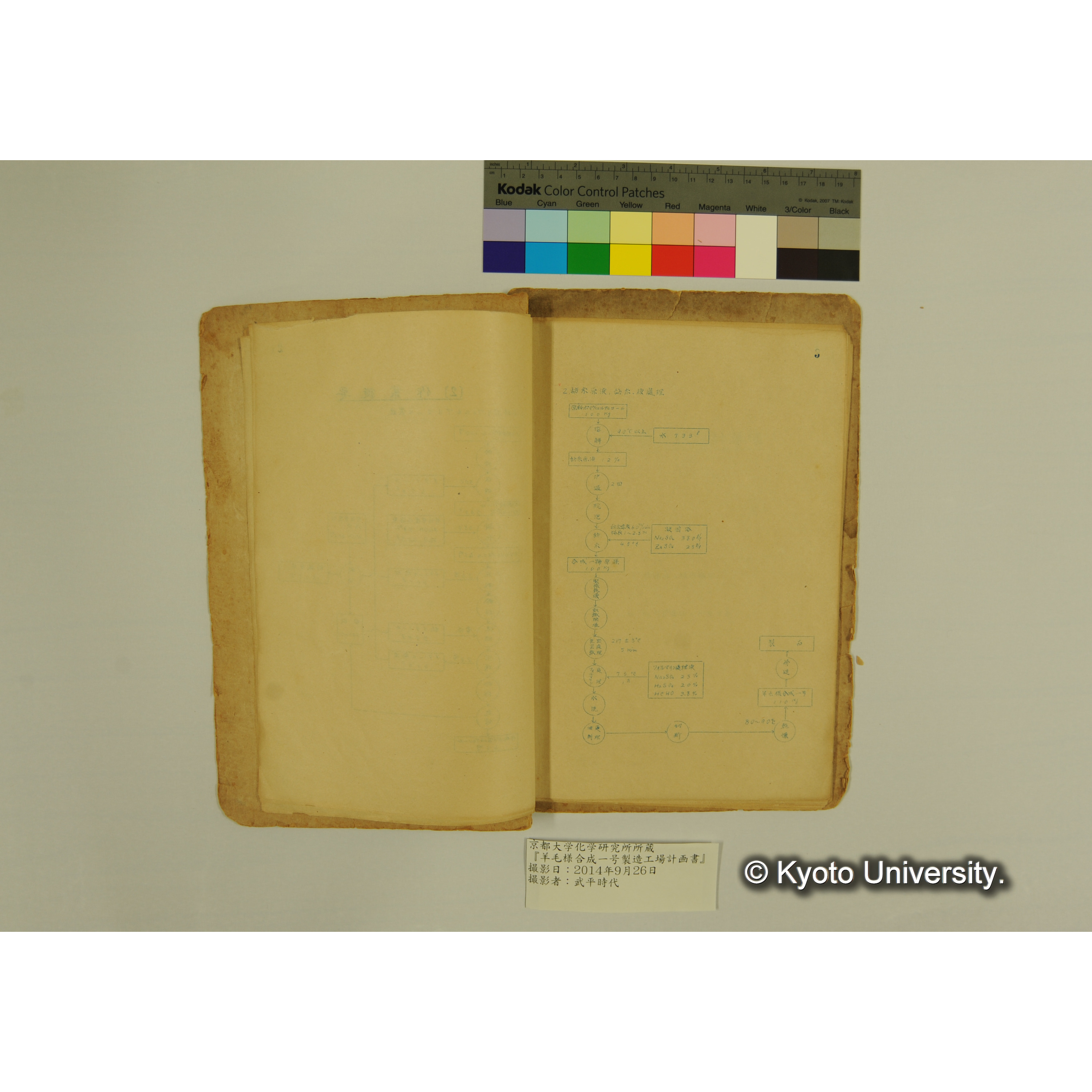 羊毛様合成一号製造工場計画書. (6)