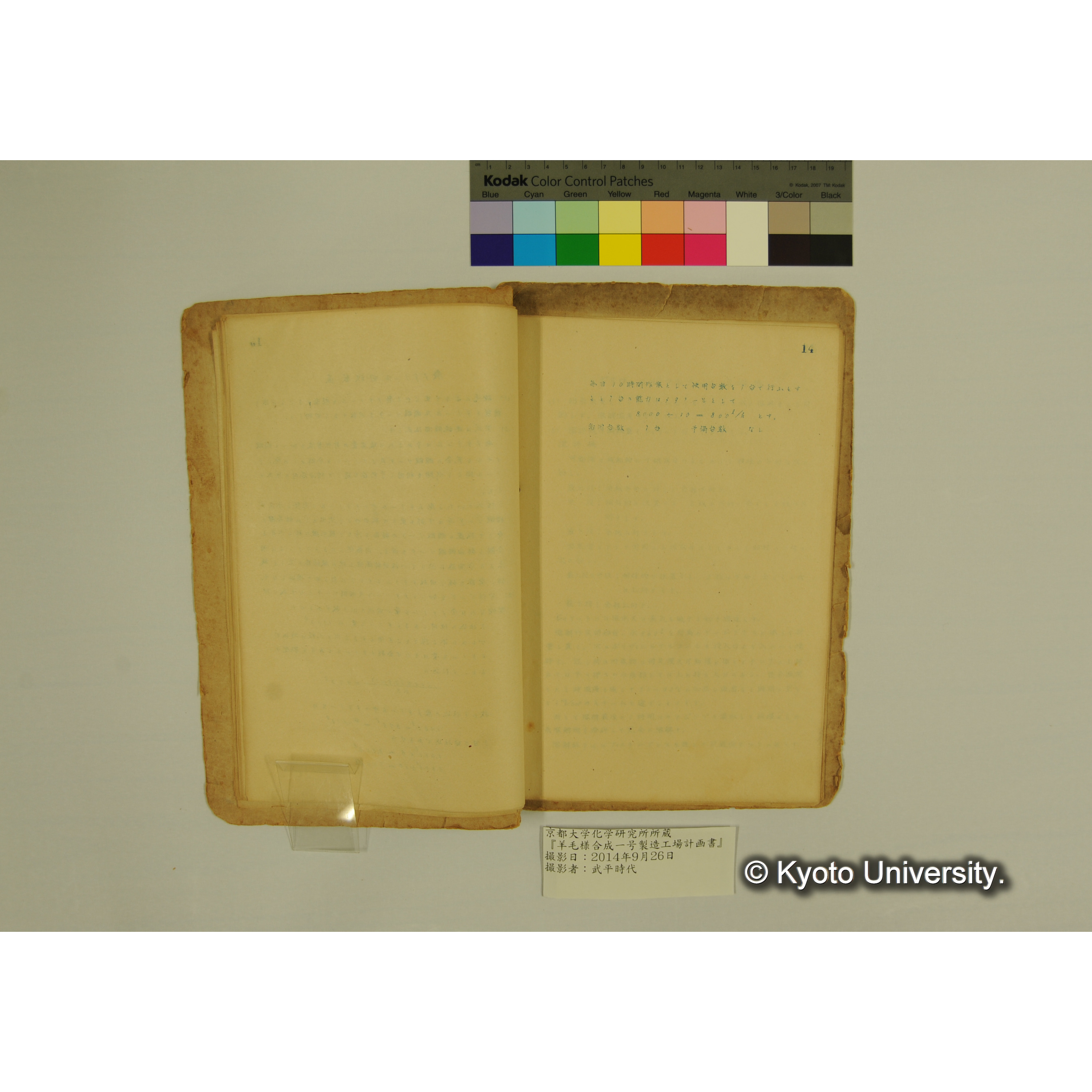 羊毛様合成一号製造工場計画書. (17)