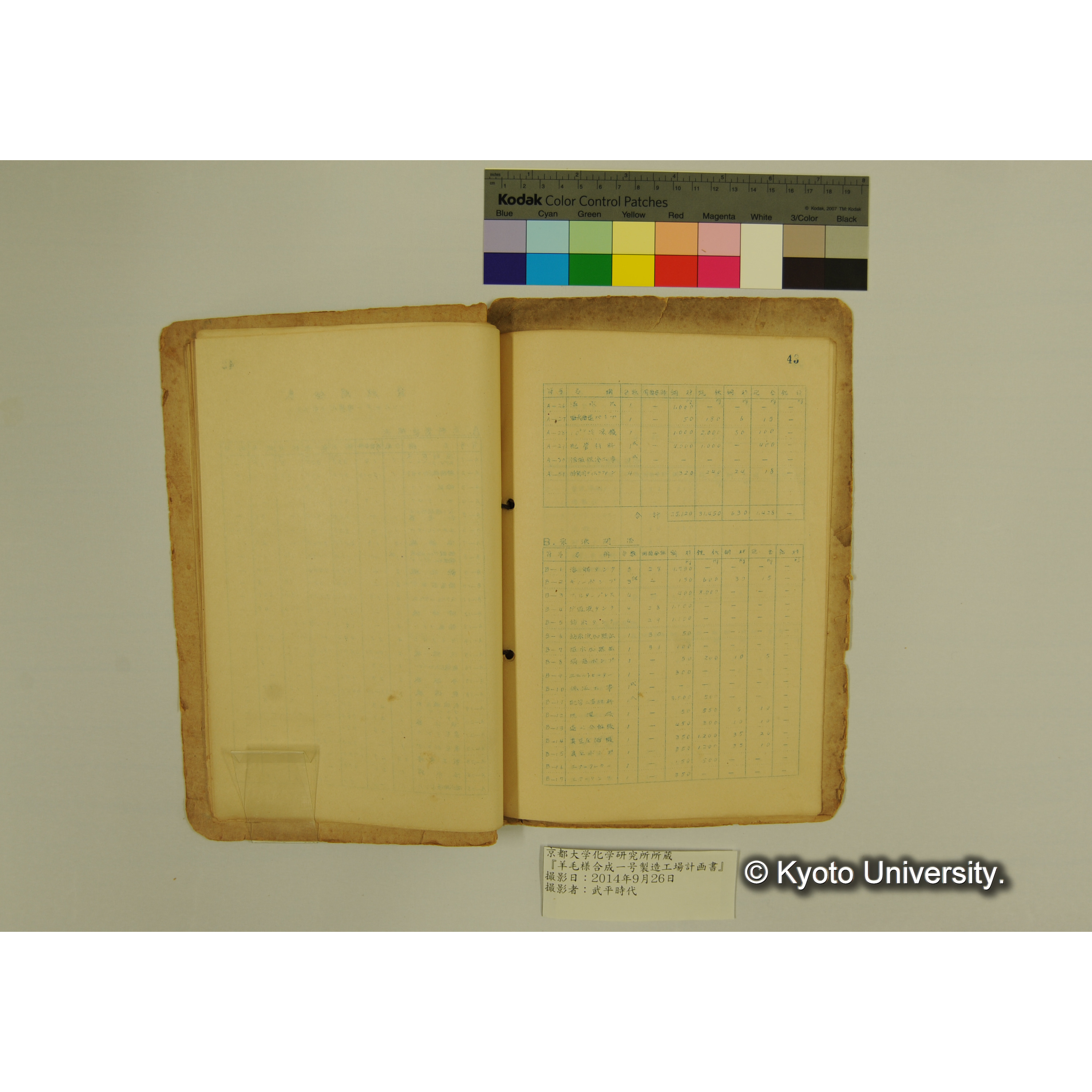 羊毛様合成一号製造工場計画書. (46)