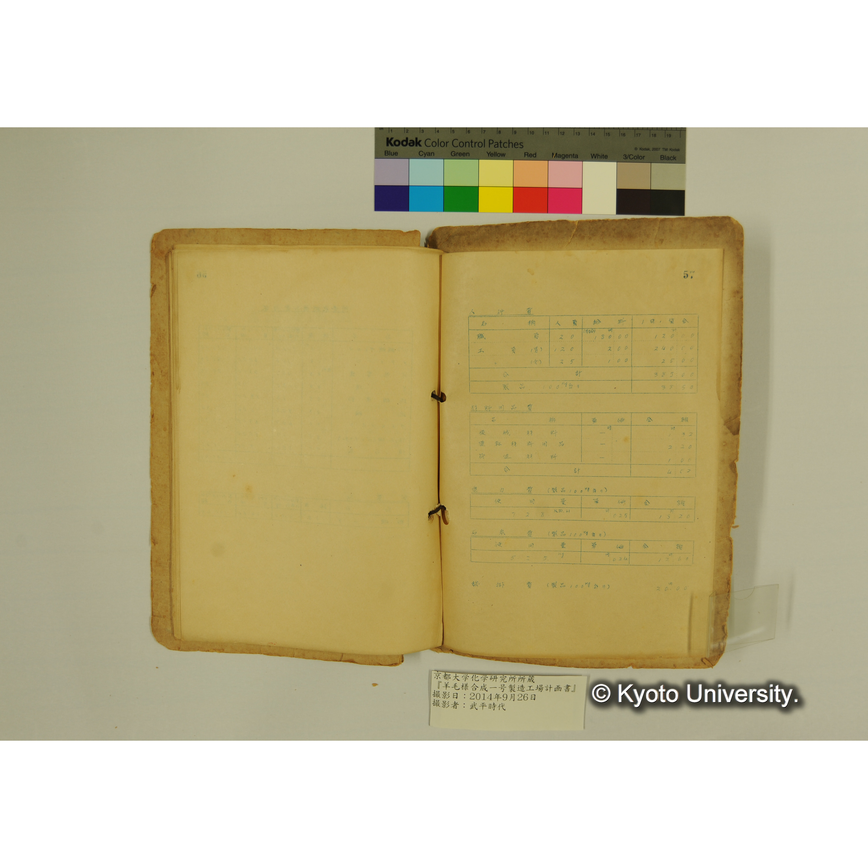 羊毛様合成一号製造工場計画書. (60)