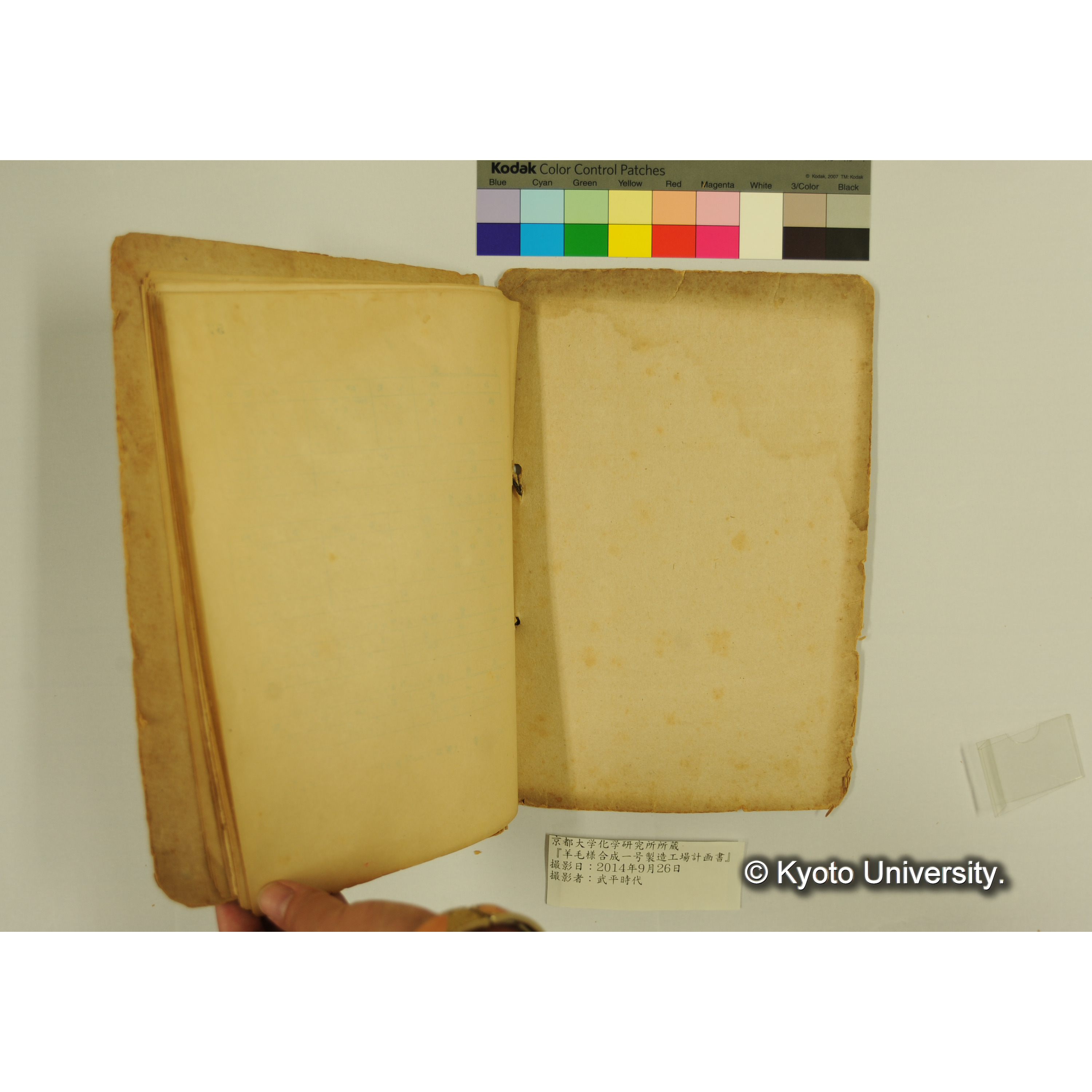 羊毛様合成一号製造工場計画書. (61)