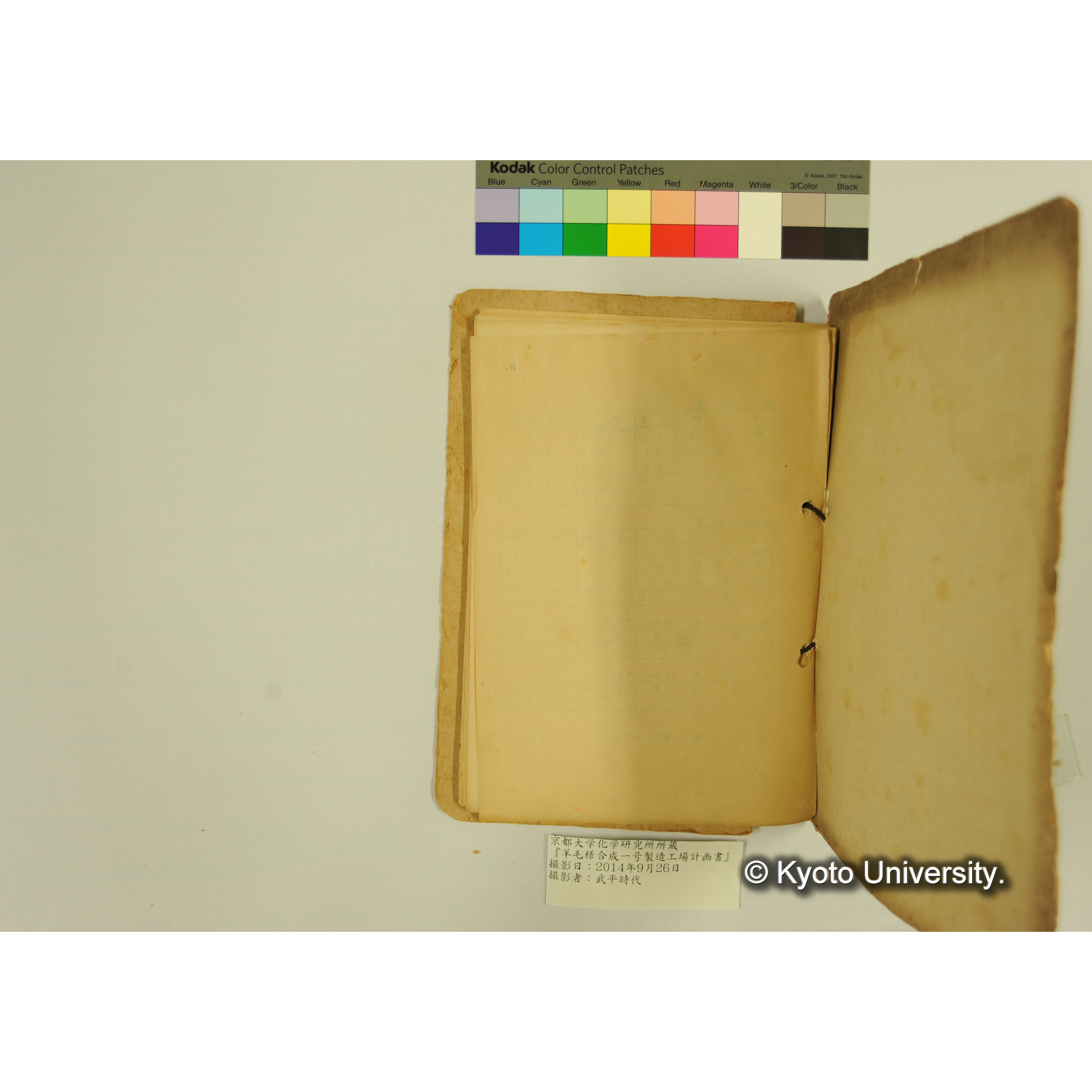 羊毛様合成一号製造工場計画書. (62)