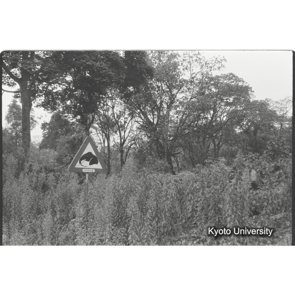 [17コマ目]「ゾウ印の標識」 (1)