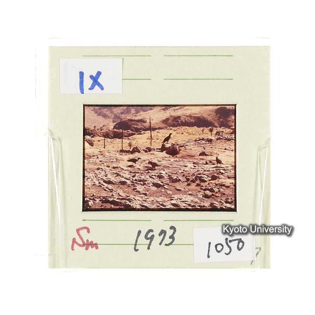 Sm　1973　1050 (2)