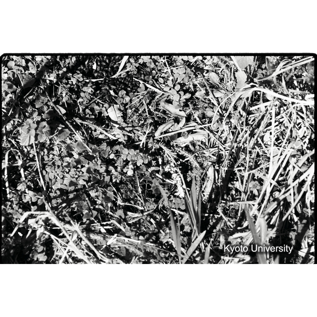 [15コマ目]「？」 (1)