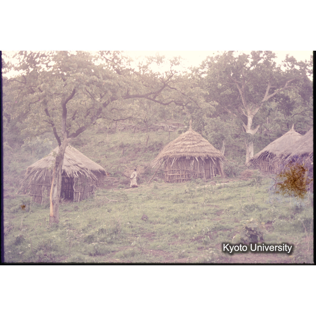 Sm　1973　1087 (1)