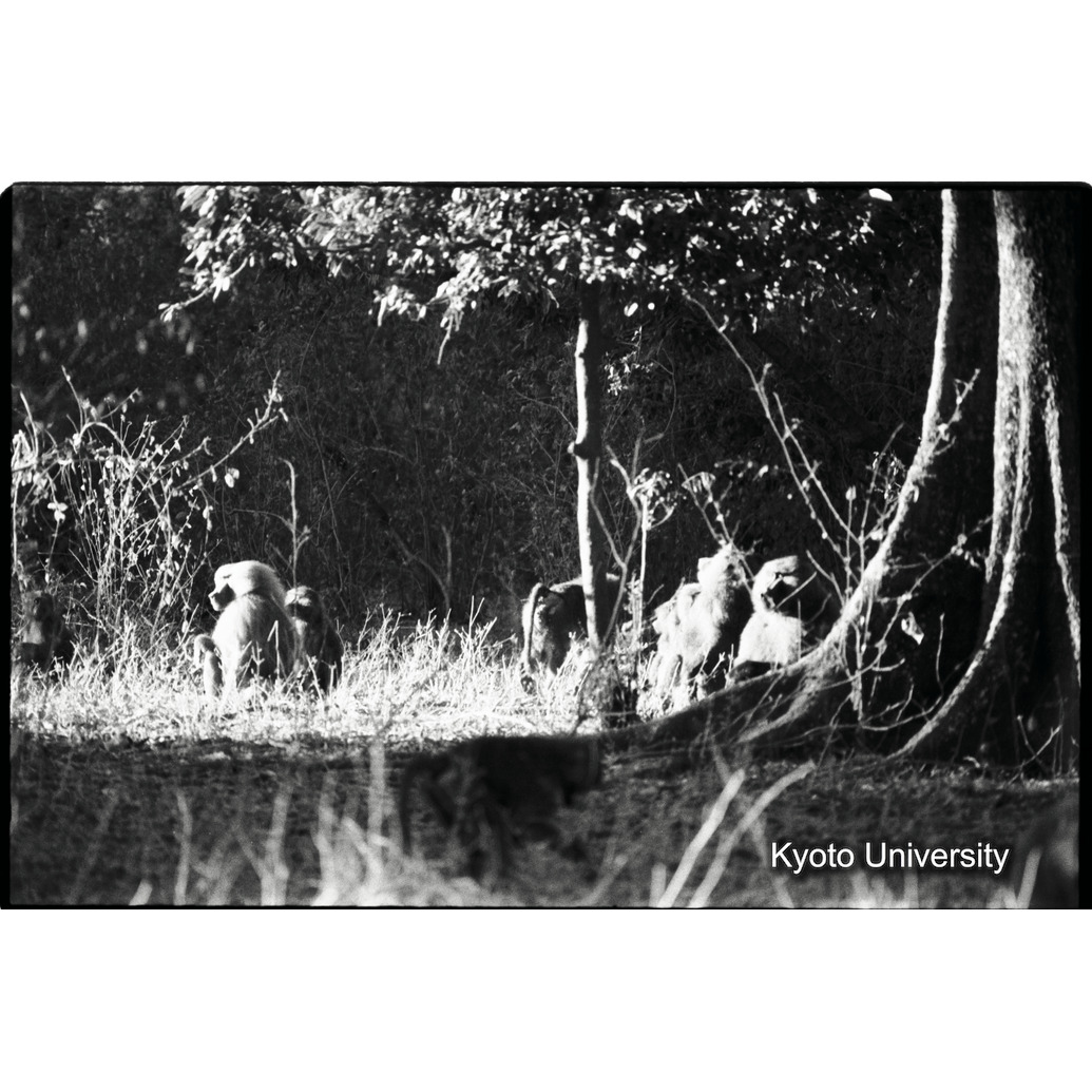 [１８コマ目]「×」 (1)