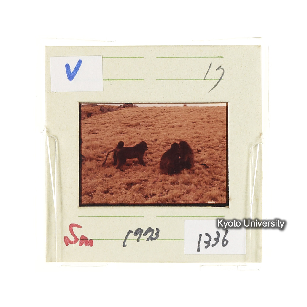 Sm　1973　1336 (2)