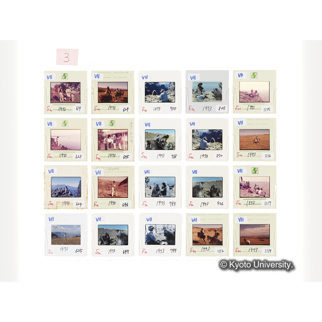 [スライドシート] 3 (1)