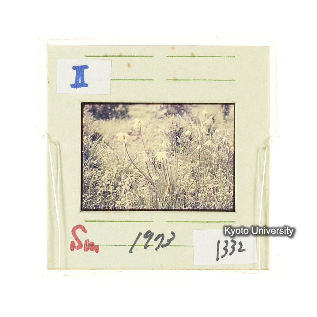 Sm　1973　1332 (2)