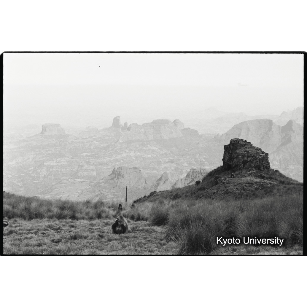 [２９コマ目]「風景（４）」 (1)