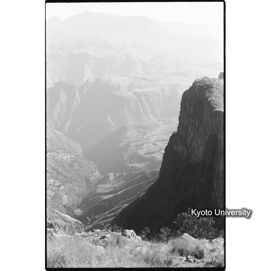 [３０コマ目]「×」 (1)