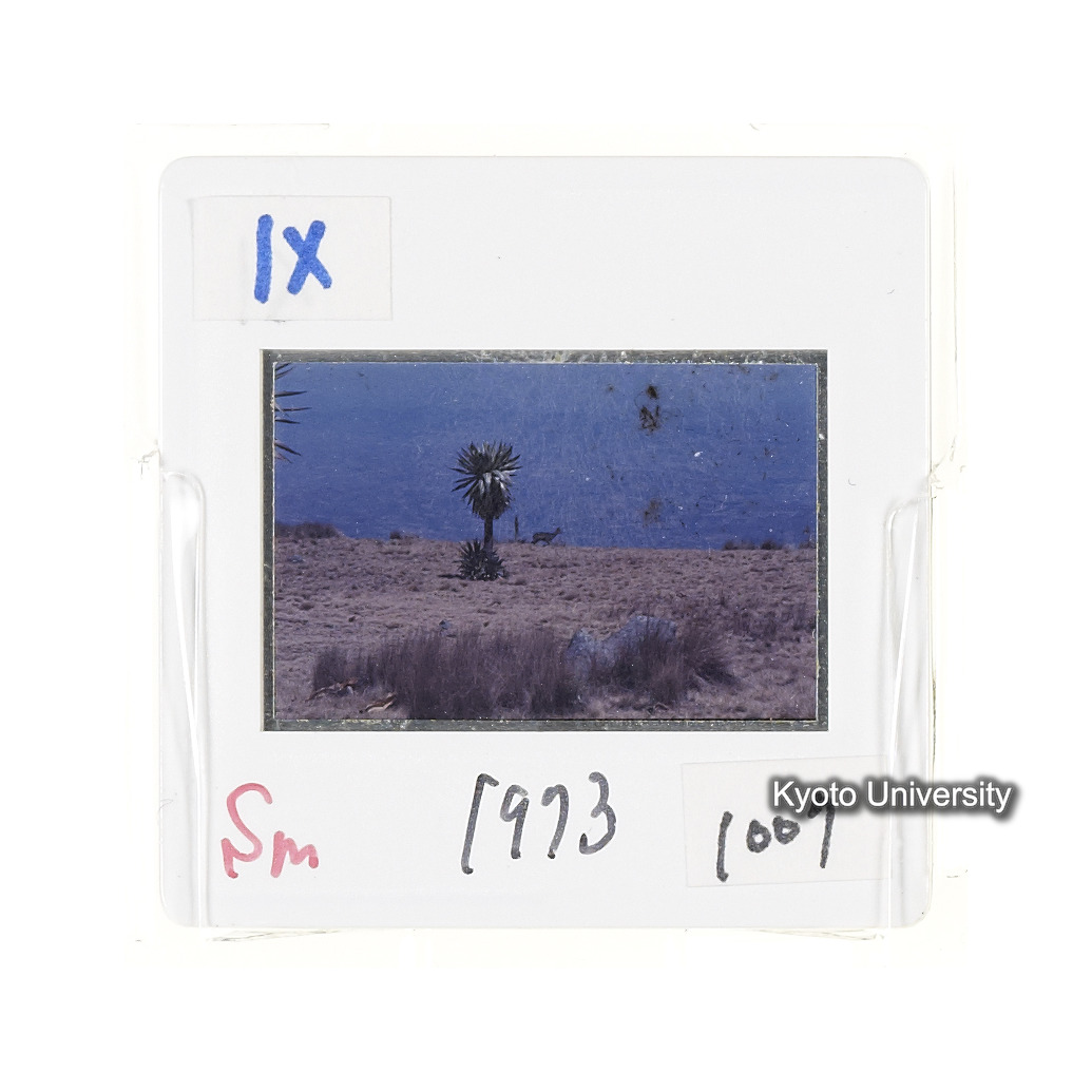 Sm　1973　1007 (2)