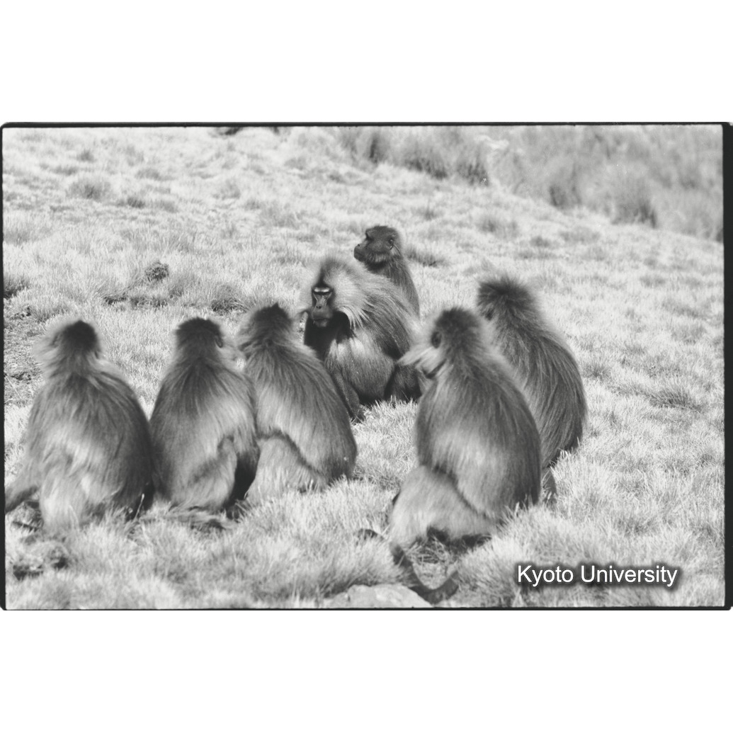 [２５コマ目]「ギラユニット（２）」 (1)